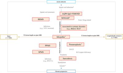 Editorial: Immune-mediated disorders of the spinal cord: Diagnosis, treatment strategies, and outcomes in the 21st century